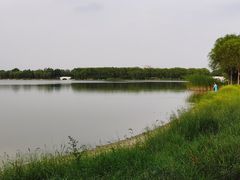 -大兴滨河森林公园