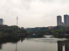 -重庆彩云湖湿地公园