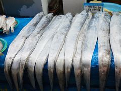 -西归浦每天偶来市场