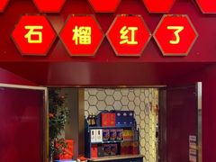 -石榴红了·非遗酥皮烤包子·新疆菜(瑞豪店)