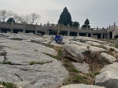 -原山国家森林公园