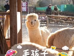 -济南野生动物世界