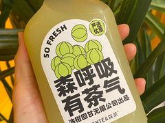 青玉油柑-SENTEA森茶(麦地丽日店)