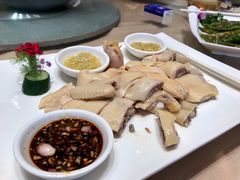 白切鸡-宝园酒家(美林M·LIVE天地东座店)
