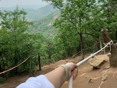 -灵岩山风景区
