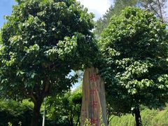 -白云山风景名胜区