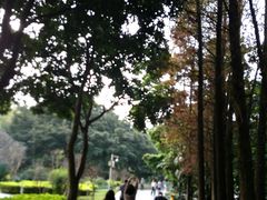 -晓港公园