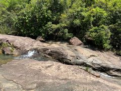 -广州白江湖森林公园