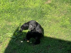 -西霞口神雕山野生动物世界