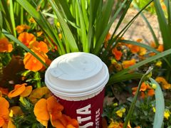 -COSTA COFFEE(上海虹口公园店)