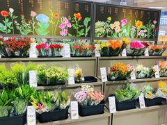 -鹿岛生活(熙地港店)
