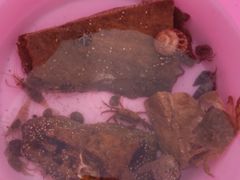 -青岛银沙滩温德姆至尊酒店