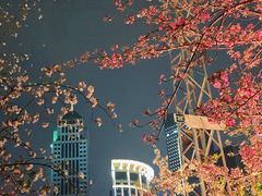 -西北湖绿化广场