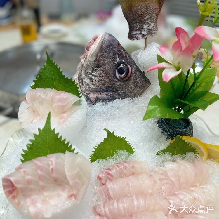 🐟无鱼生不夏天#