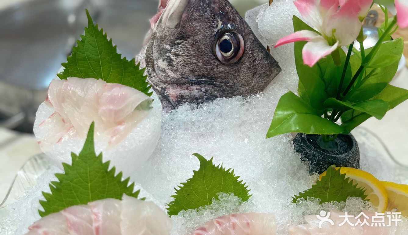 🐟无鱼生不夏天#