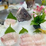 🐟无鱼生不夏天#