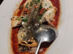 潮汕普宁豆蒸黄花鱼-维园悦谱·海派家常菜(乌鲁木齐南路店)