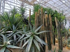 -祥源·阜阳生态乐园