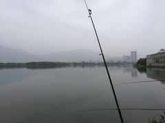 -飞来湖湿地公园
