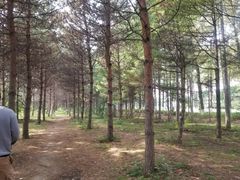 -长春市南湖公园