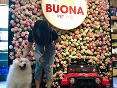 -百好乐宠物友好餐厅(朝外大街店)