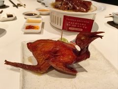 -侨美食家·41年地道粤菜(珠江新城店)