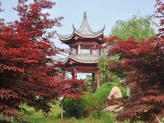 -祥源·阜阳生态乐园