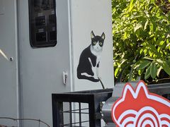 -老地方猫儿面(磁器口店)