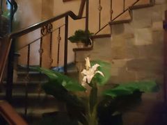-怡泰SPA·泰疗按摩(徽宁路店)