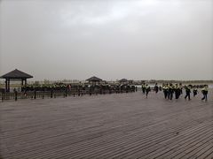 -南大港湿地风景区