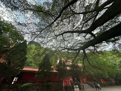 -神光山国家森林公园