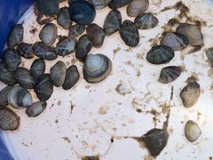 -天津东疆湾沙滩景区