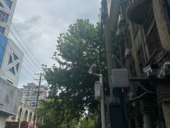 -巴厘龙虾·榜首油焖大虾(洞庭·艺术洋房店)