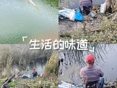 -南湖湿地公园