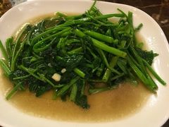 -宽窄巷子(米兰中央火车站店)