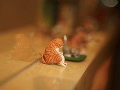 -鞠橘居酒屋(仁恒江湾新天地店)