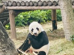 -柳州市动物园