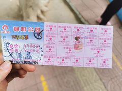 -朝阳公园游乐园