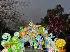 -厦门园林博览苑