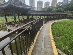 -龙头寺公园