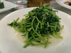 20160205蒜蓉茼蒿-双子楼大酒店(城开国际写字楼店)