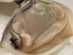 沙白-阿锋鲍鱼酒家美食汇(华安店)