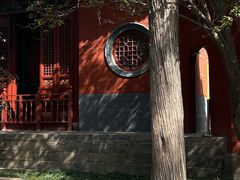 -洛阳白马寺
