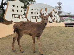 -盈香心动乐园
