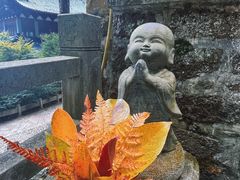 -雁荡山大龙湫景区