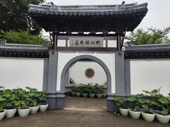 -探花·意境江南菜·唐伯虎文化体验店·松鼠桂鱼(观前店)