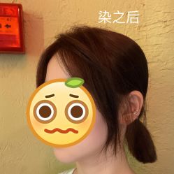 -蚂蚁造型沙龙