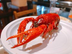 可可油焖大虾-可可大虾武汉土菜大排档(万松园1店)