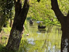 -西溪国家湿地公园