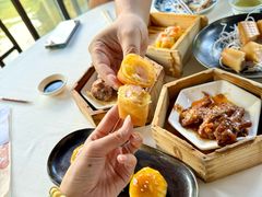 -侨美·唐荔园·40年地道粤菜